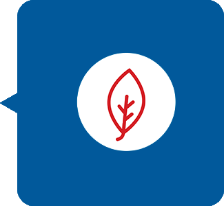 icon w/ leaf